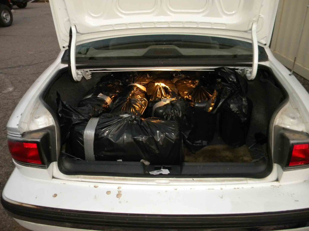 Border agents make 15 arrests in 12 days